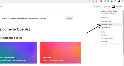 Getting the OpenAI API menu
